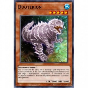 Duoterion