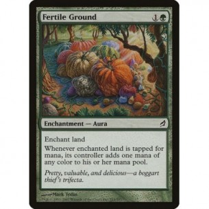 Terreno Fertile