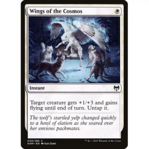 Wings of the Cosmos