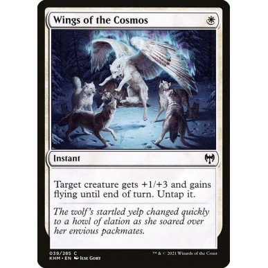 Wings of the Cosmos