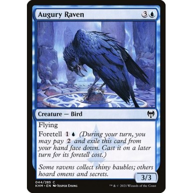 Augury Raven