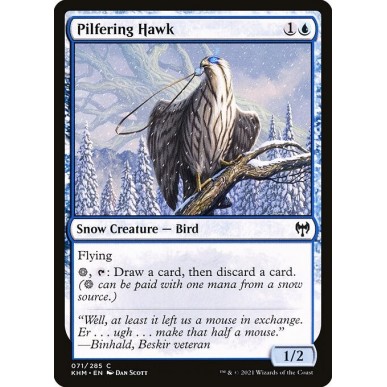 Pilfering Hawk