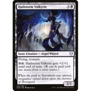Hailstorm Valkyrie