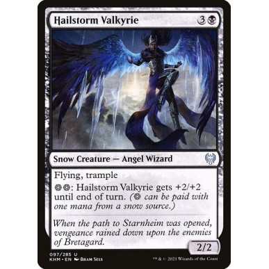 Hailstorm Valkyrie