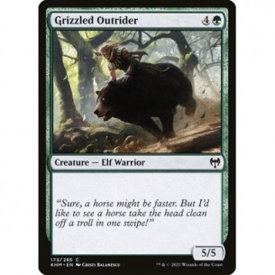 Grizzled Outrider