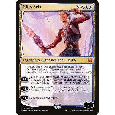 Niko Aris