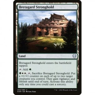 Bretagard Stronghold