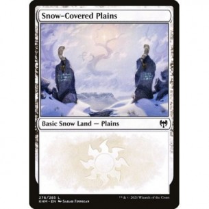 Snow-Covered Plains