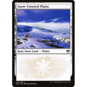 Snow-Covered Plains