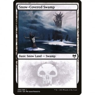 Snow-Covered Swamp