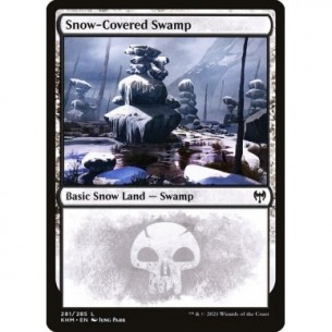 Snow-Covered Swamp