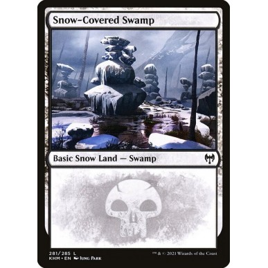 Snow-Covered Swamp