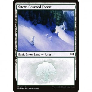 Snow-Covered Forest