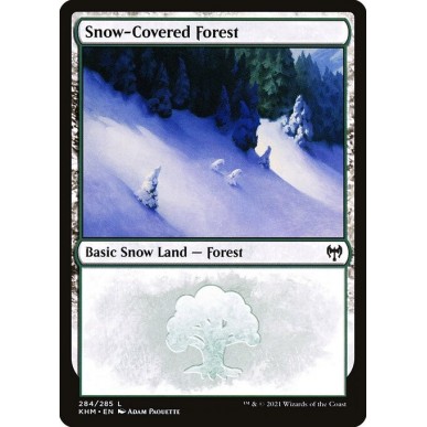 Snow-Covered Forest