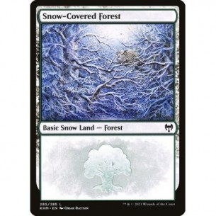 Snow-Covered Forest