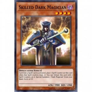 Skilled Dark Magician