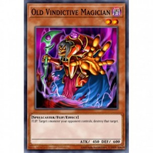 Anziano Mago Vendicativo