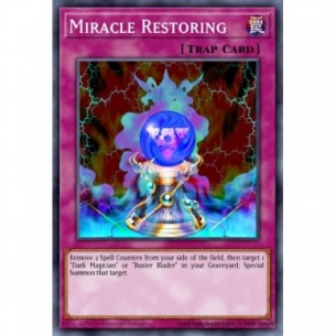 Miracle Restoring
