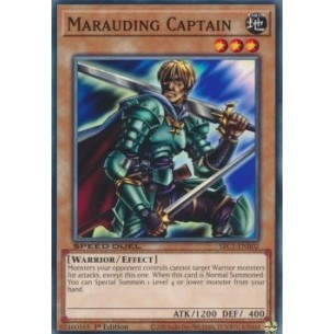 Capitano Saccheggiatore...