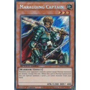 Capitano Saccheggiatore...