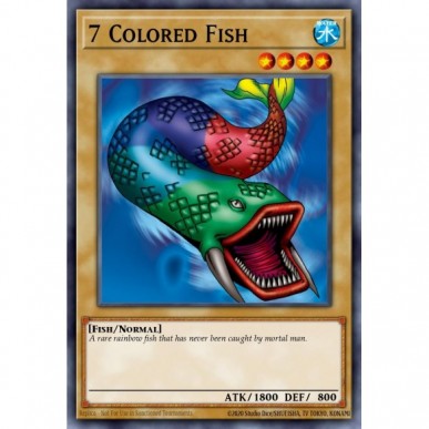 7 Colored Fish