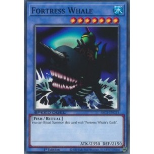 Fortress Whale