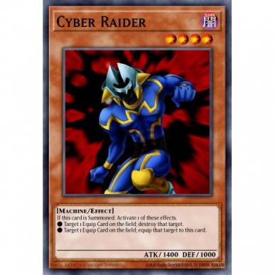 Cyber Raider