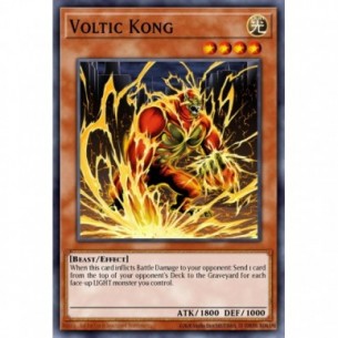Kong Voltaico