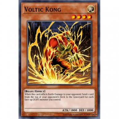 Voltic Kong