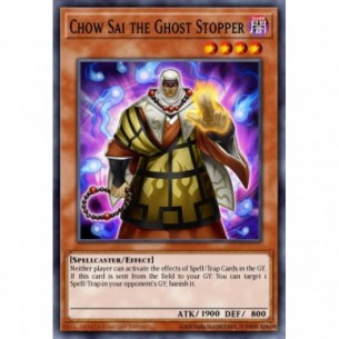 Chow Sai the Ghost Stopper