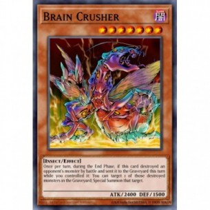 Brain Crusher