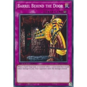 Barrel Behind the Door