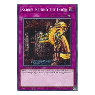 Barrel Behind the Door