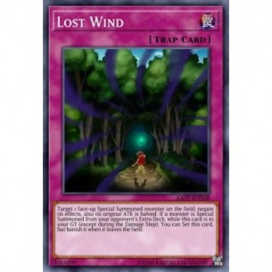 Lost Wind