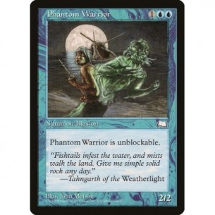 Guerriero Fantasma