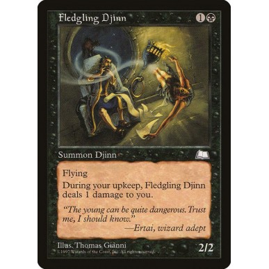 Fledgling Djinn