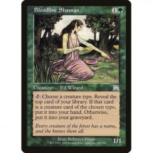 Sciamana delle Stirpi