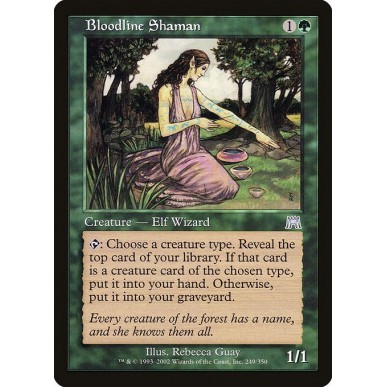 Sciamana delle Stirpi