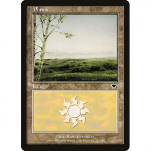 Plains