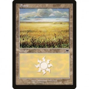 Plains