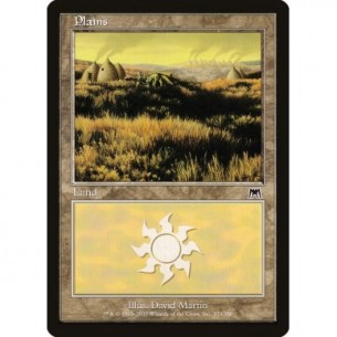 Plains