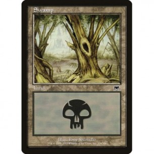 Swamp