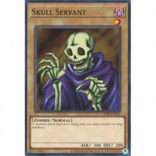 Skull Servant