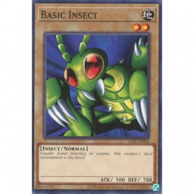 Basic Insect