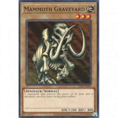 Mammoth Graveyard
