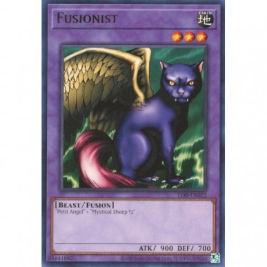 Fusionista