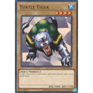 Tartaruga-Tigre