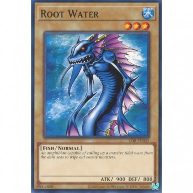 Root Water