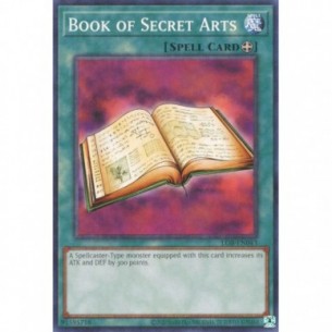 Libro delle Arti Segrete