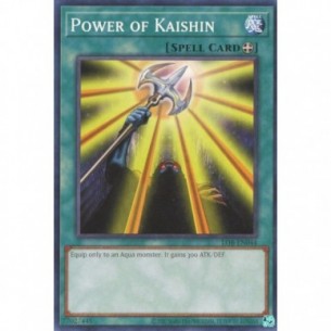 Potere di Kaishin
